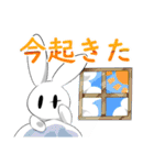 しろうさ君（個別スタンプ：1）