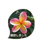 スタンプだけで簡単お返事 ハワイの景色（個別スタンプ：6）