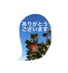 スタンプだけで簡単お返事 ハワイの景色（個別スタンプ：8）