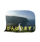 スタンプだけで簡単お返事 ハワイの景色（個別スタンプ：17）