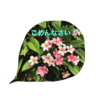 スタンプだけで簡単お返事 ハワイの景色（個別スタンプ：20）
