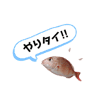 やりタイくんのつぶやき。。（個別スタンプ：1）