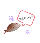 やりタイくんのつぶやき。。（個別スタンプ：7）