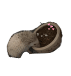ハリネズミまーちんの日常（個別スタンプ：1）
