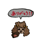 トイプードルゆめこ（個別スタンプ：2）