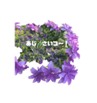 ダジャレおはな（個別スタンプ：5）