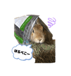 れんたま…0608（個別スタンプ：7）
