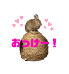 れんたま…0608（個別スタンプ：9）