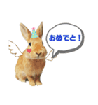 れんたま…0608（個別スタンプ：19）