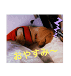 peki.peki（個別スタンプ：2）