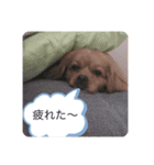 peki.peki（個別スタンプ：4）