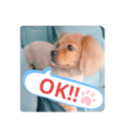 peki.peki（個別スタンプ：7）
