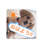 peki.peki（個別スタンプ：8）