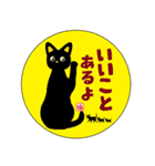 黒猫のあろまーにゃ（個別スタンプ：24）