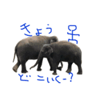 日常のさまざま（個別スタンプ：15）