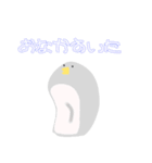 ぺんぎん？すたんぷ（個別スタンプ：3）