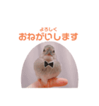 てんちゃんもいるよ♪（個別スタンプ：6）