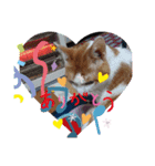 ねこのさんぽ（個別スタンプ：5）