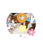 ねこのさんぽ（個別スタンプ：6）