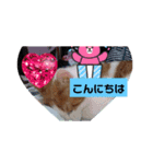 ねこのさんぽ（個別スタンプ：8）