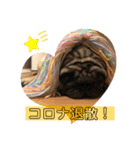 あいらぶゆーらぶ2（個別スタンプ：6）