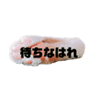 大吉とてんちゃん②（個別スタンプ：8）