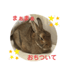 ミニうさぎ♡ココ♡（個別スタンプ：4）