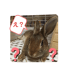 ミニうさぎ♡ココ♡（個別スタンプ：7）