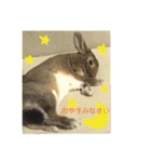 ミニうさぎ♡ココ♡（個別スタンプ：16）