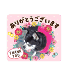 我が家の愛犬  アンジーとトム09（個別スタンプ：9）