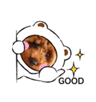 あずきmana（個別スタンプ：1）
