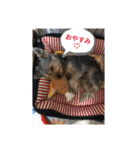 リリースタンプ第二弾（個別スタンプ：2）