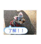 リリースタンプ第二弾（個別スタンプ：6）