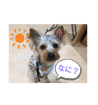 リリースタンプ第二弾（個別スタンプ：8）