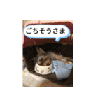 リリースタンプ第二弾（個別スタンプ：14）