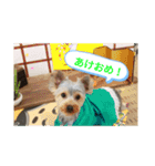 リリースタンプ第二弾（個別スタンプ：16）
