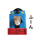 ぐっぴーくまくま×sippo ねこスタンプ（個別スタンプ：9）