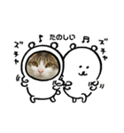 猫ちゃん達と、たまに飼い主（個別スタンプ：15）