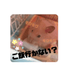 キンクマハムスターの"あすとろ"（個別スタンプ：7）