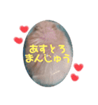 キンクマハムスターの"あすとろ"（個別スタンプ：9）