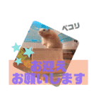 キンクマハムスターの"あすとろ"（個別スタンプ：13）