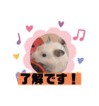 キンクマハムスターの"あすとろ"（個別スタンプ：17）