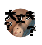 キンクマハムスターの"あすとろ"（個別スタンプ：19）