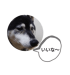 うらやまし～（個別スタンプ：1）