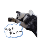 うらやまし～（個別スタンプ：2）
