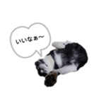 うらやまし～（個別スタンプ：3）