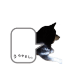 うらやまし～（個別スタンプ：4）