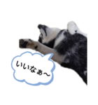 うらやまし～（個別スタンプ：8）