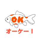 いろいろな金魚と日常の一言（個別スタンプ：1）