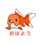 いろいろな金魚と日常の一言（個別スタンプ：3）